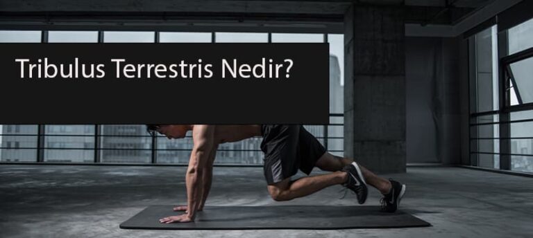 tribulus terrestris nedir?