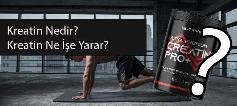 kreatin nedir ne işe yarar?